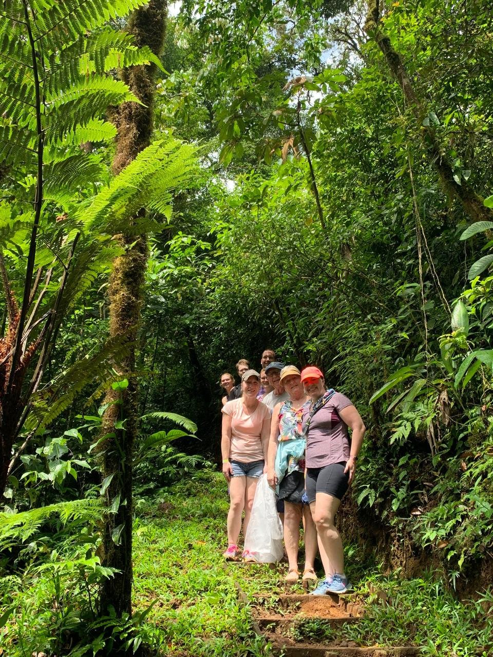 Grupo en el sendero de helechos