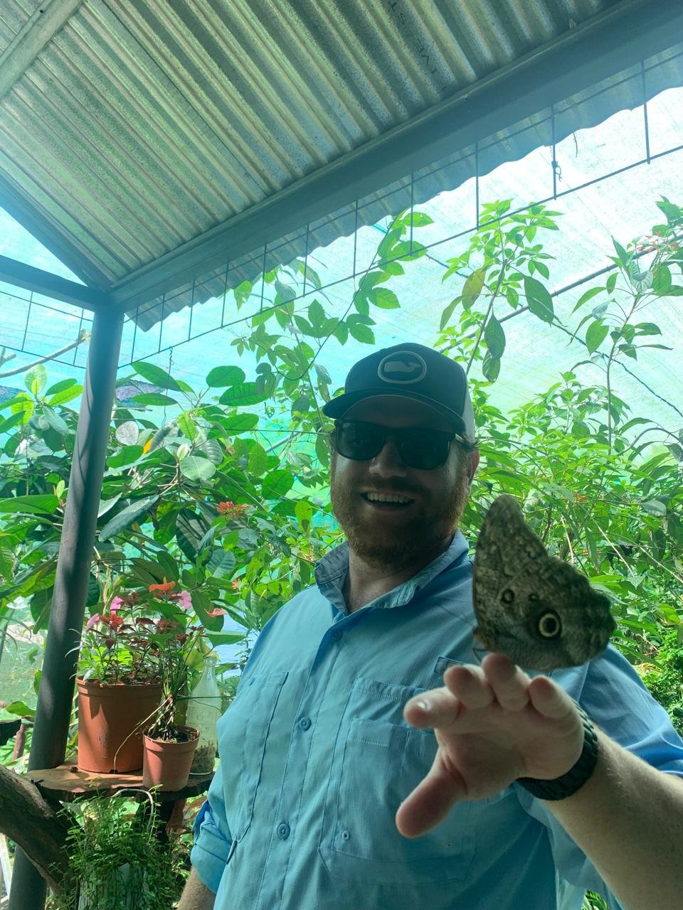Mariposa búho en el mariposario