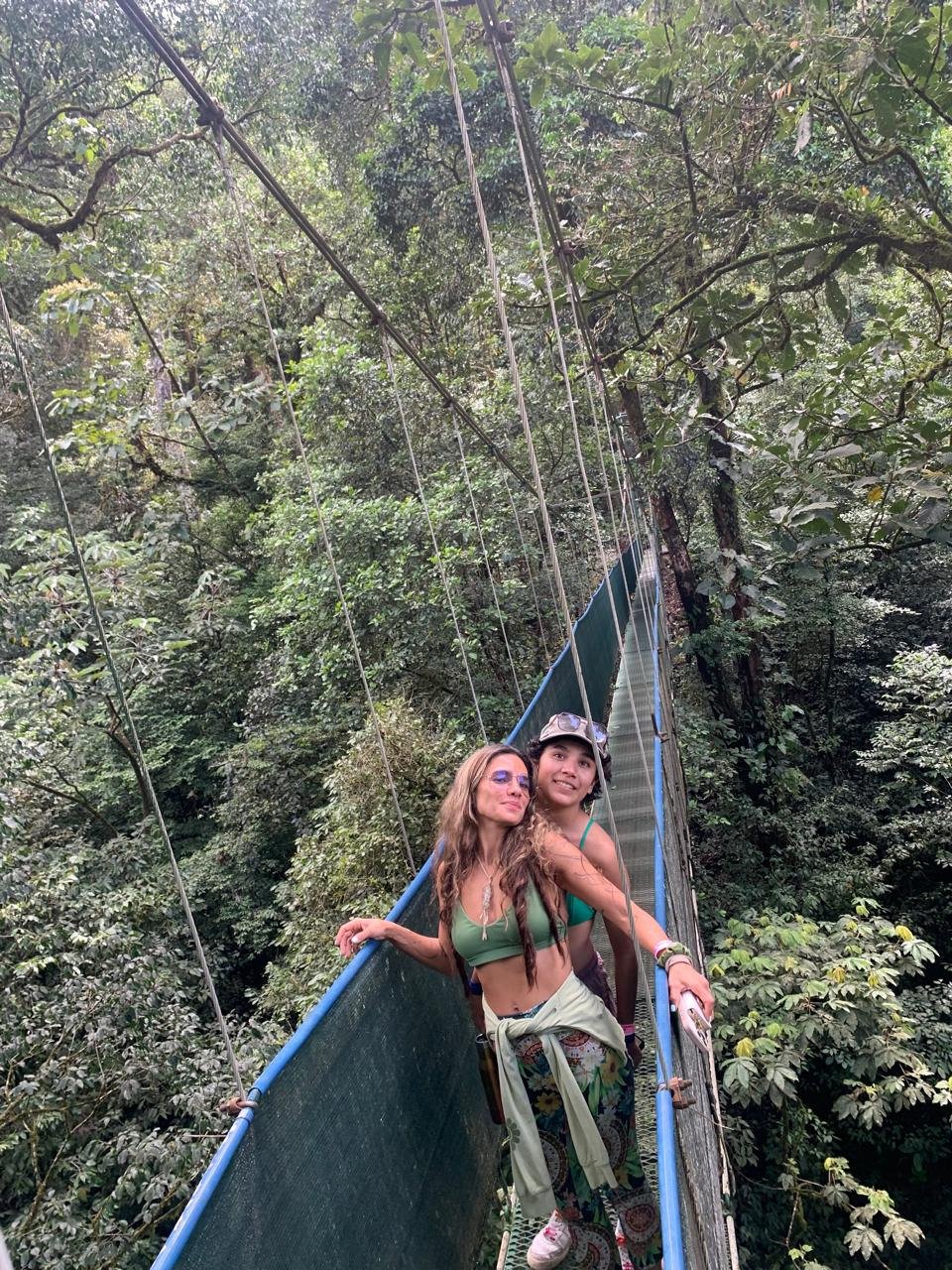 Puente colgante en el bosque