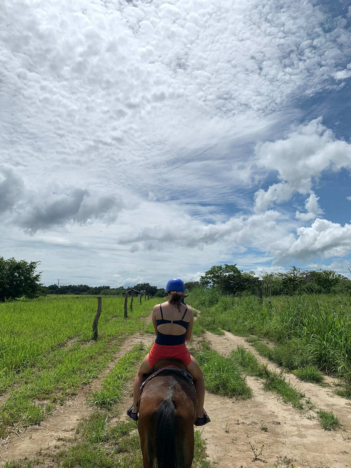 Cabalgata por los potreros