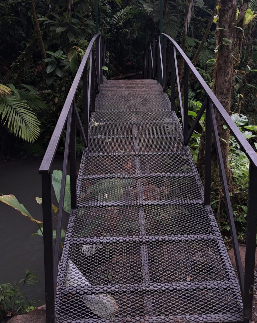 Puente del sendero