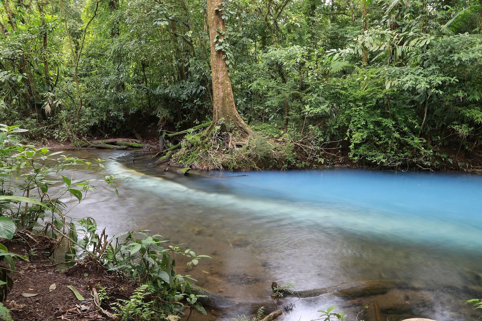Los Teñideros, donde nace el color celeste