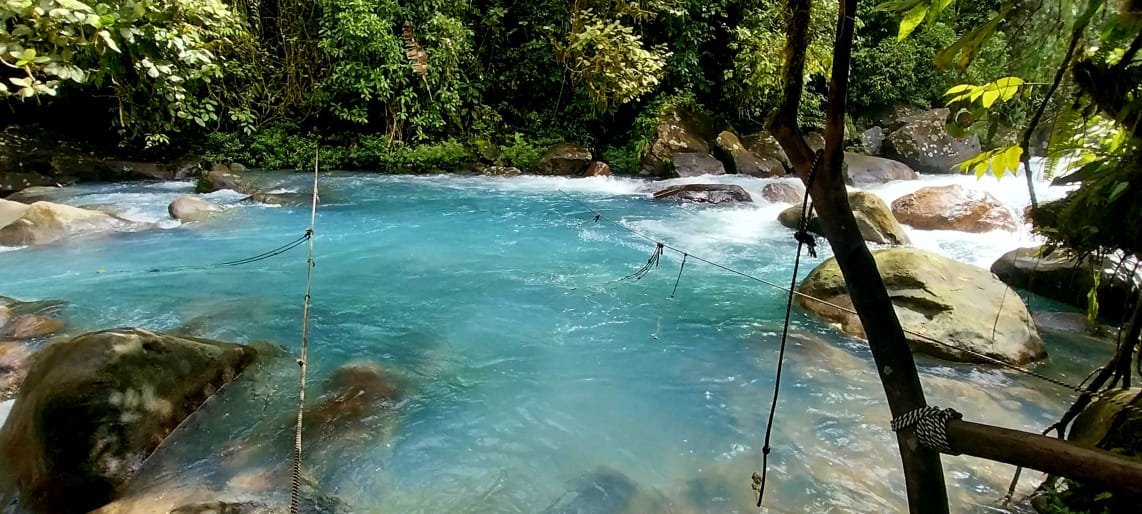 Río entre el bosque